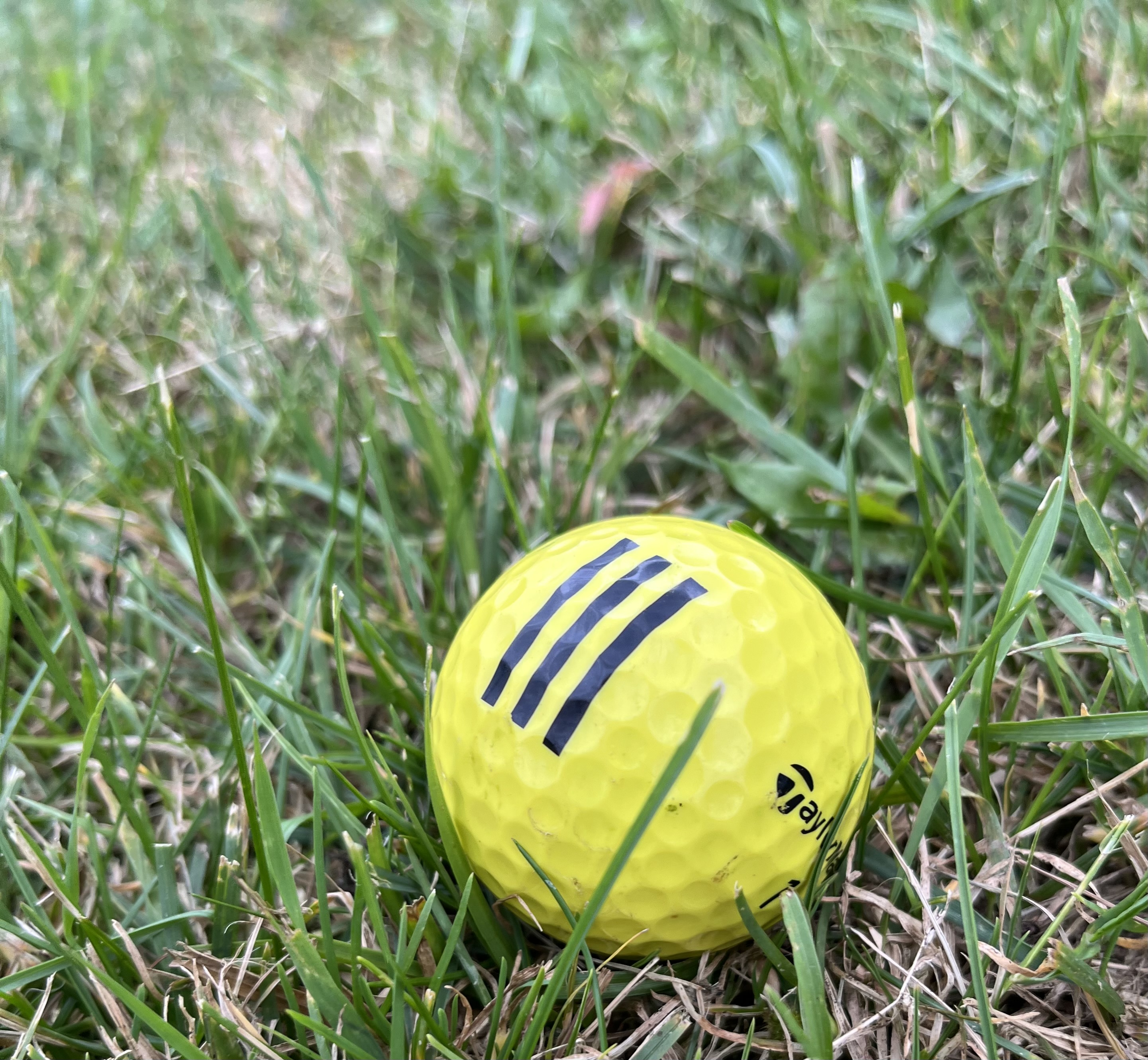 Range Ball gelb