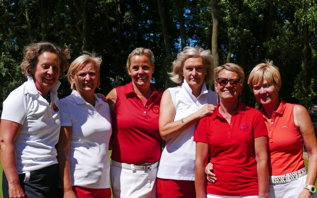 Bundesliga Aufstieg geschafft