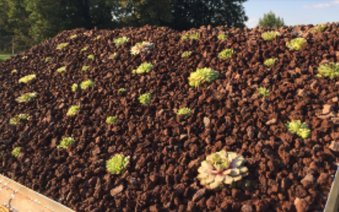 Insektenhotel – natürliche Schädlingsbekämpfung