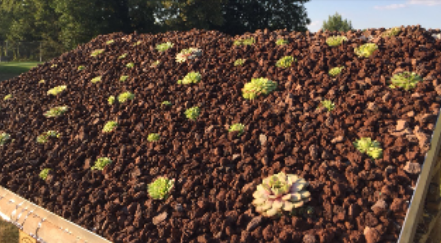 Dach vom Insektenhotel 