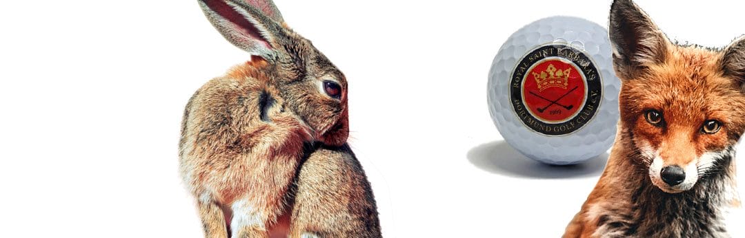 FUCHS und HASE Turnier