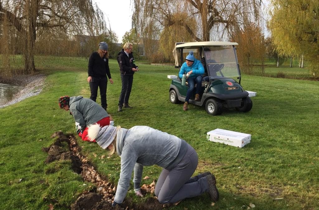 Erst buddeln, dann blühen