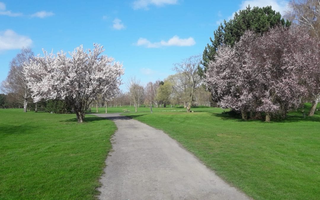 Corona – Platzupdate