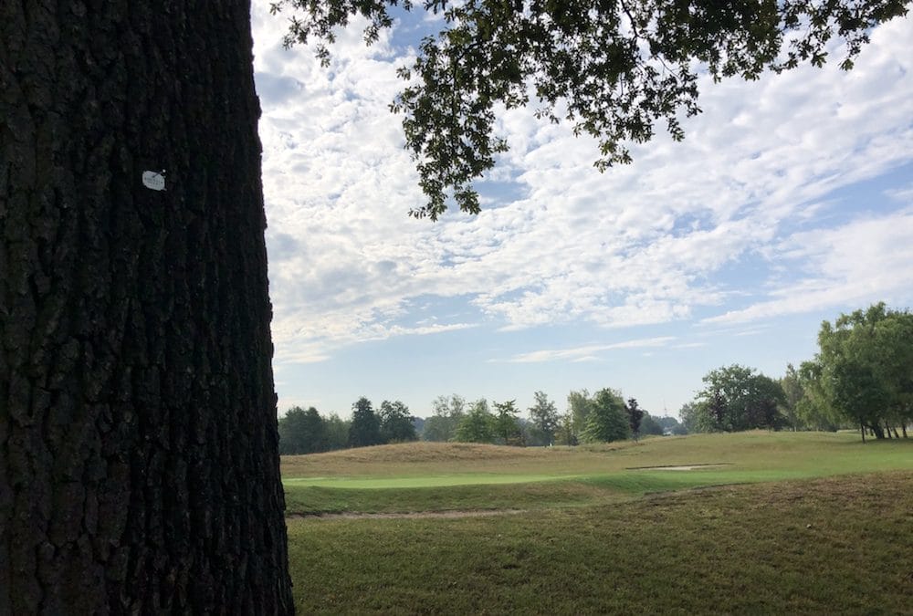 Vorschläge zu Baumarbeiten