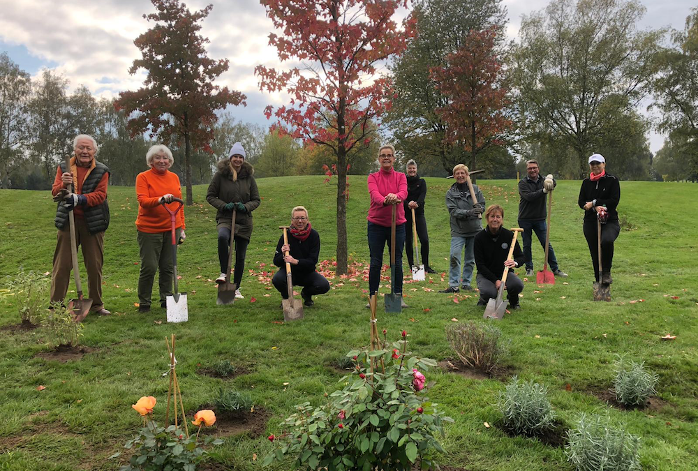 Fortsetzung Pflanztag 