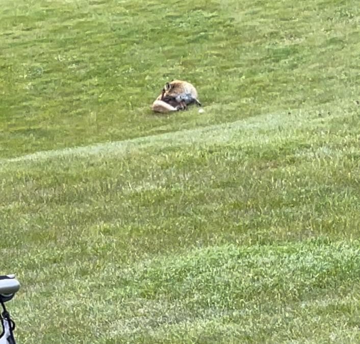 Besucher ohne Regel-Kenntnis