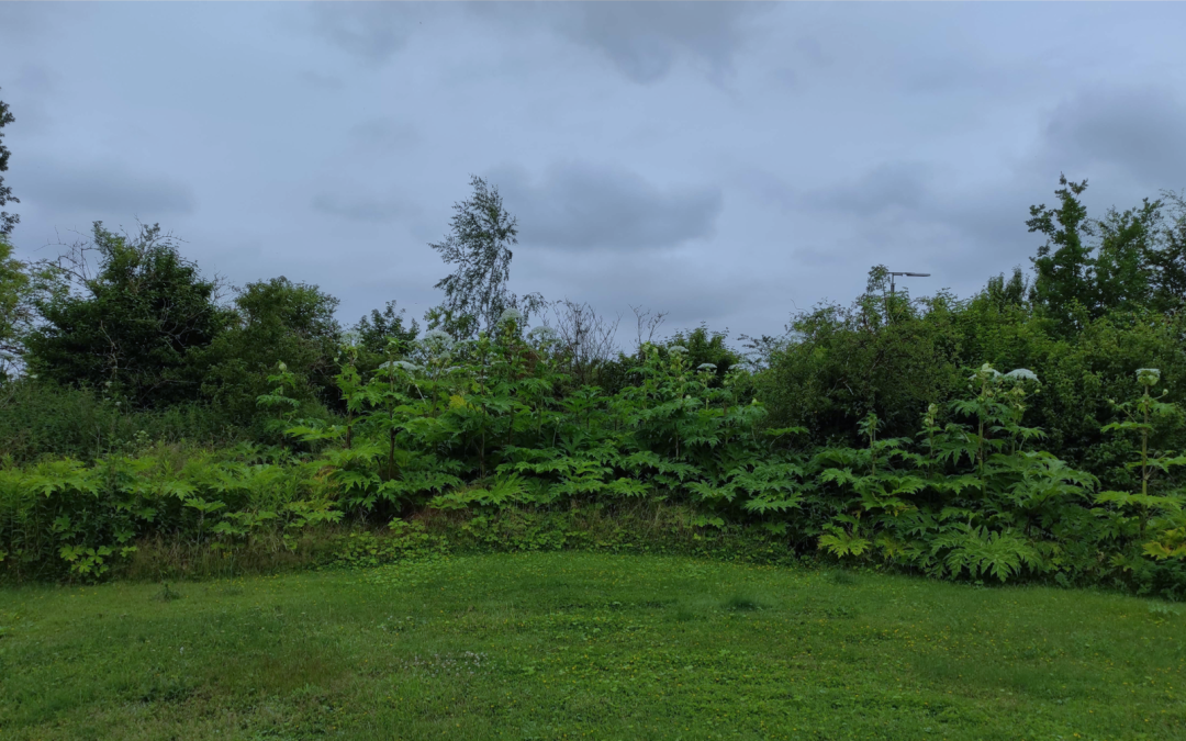 Update Liegenschaften – anstehende und geplante Arbeiten 