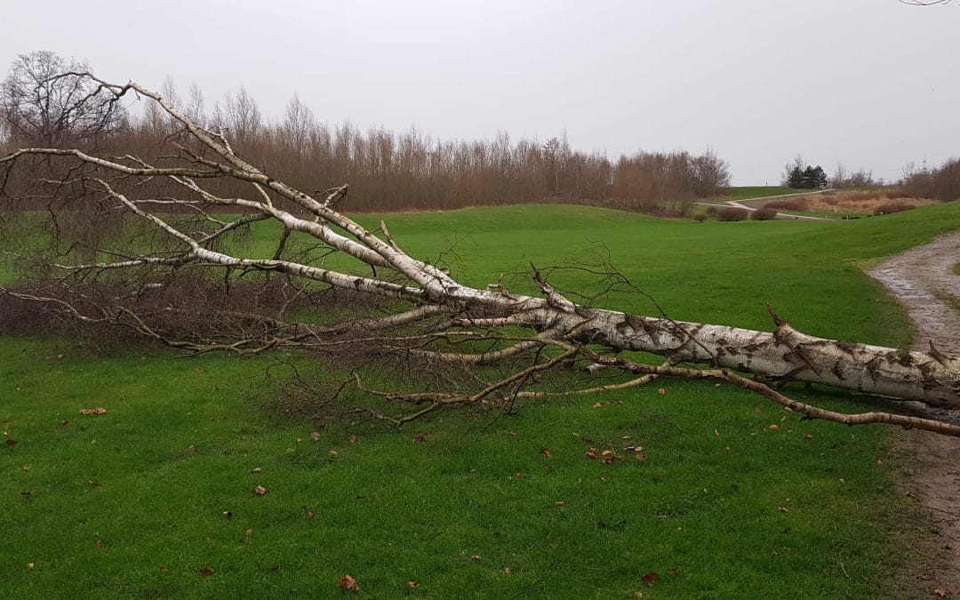DANK an Mitlieder und Gäste des Royal Saint Barbara’s Dortmund e.V.,