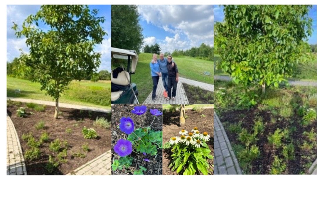 Patenschaft für ein Blumenbeet