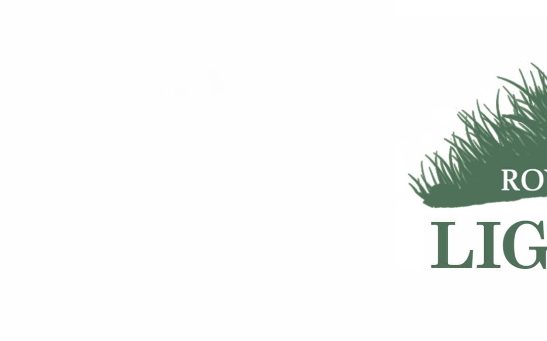 Liga Teams Ball im Gras