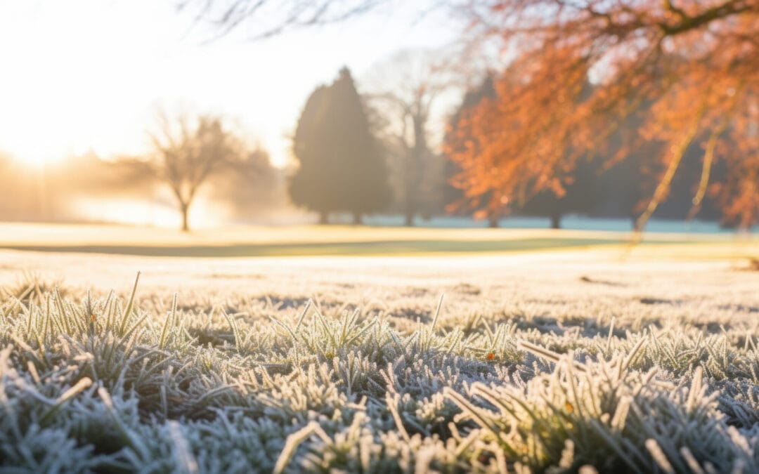 Früher Morgen in einem parkähnlichen Gebiet mit Frost bedecktem Gras im Vordergrund und Bäumen mit orangefarbenen Blättern im Hintergrund, Sonnenlicht scheint durch die Bäume.